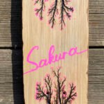 mt fractale temporel skatesakura80 01c