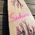 mt fractale temporel skatesakura80 02