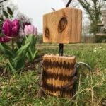 mt robots animo abeille 01