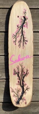 mt fractale temporel skatesakura80 01c